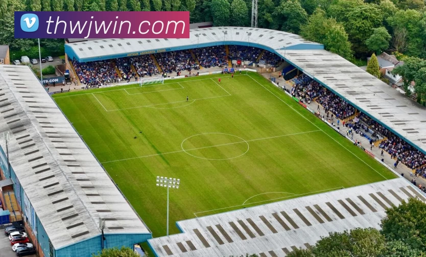 头号玩家娱乐平台平台生态图